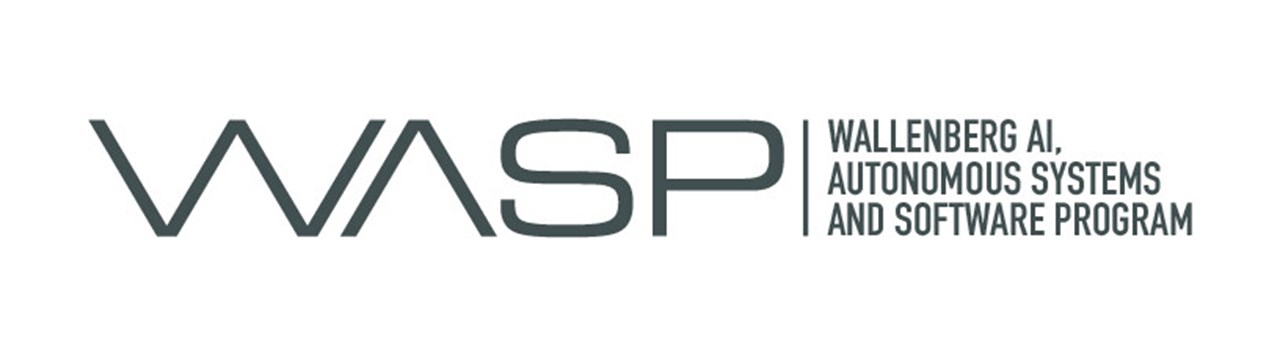 WASP logo