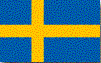 CV p Svenska