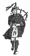 Piper