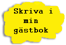 Skriv i min gstbok