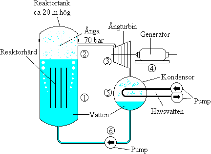 Kokvattenreaktor