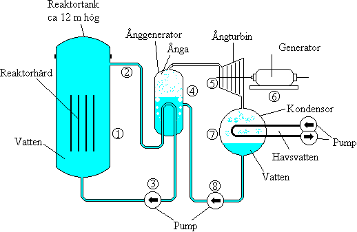Tryckvattenreaktor
