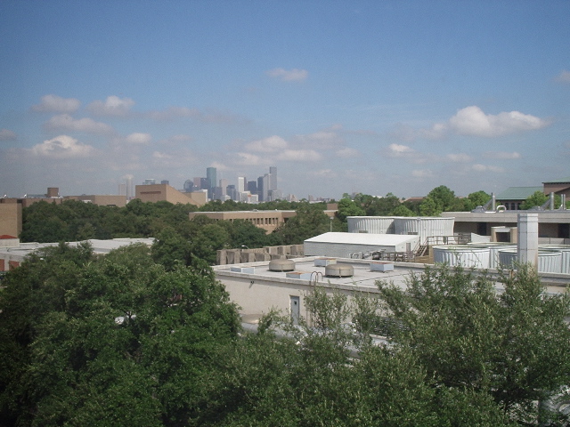 View from carrel