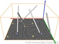 SeedLineTransformSeparately